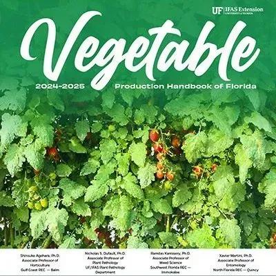 thumbnail for publication: Chapter 1. Commercial Vegetable Production in Florida